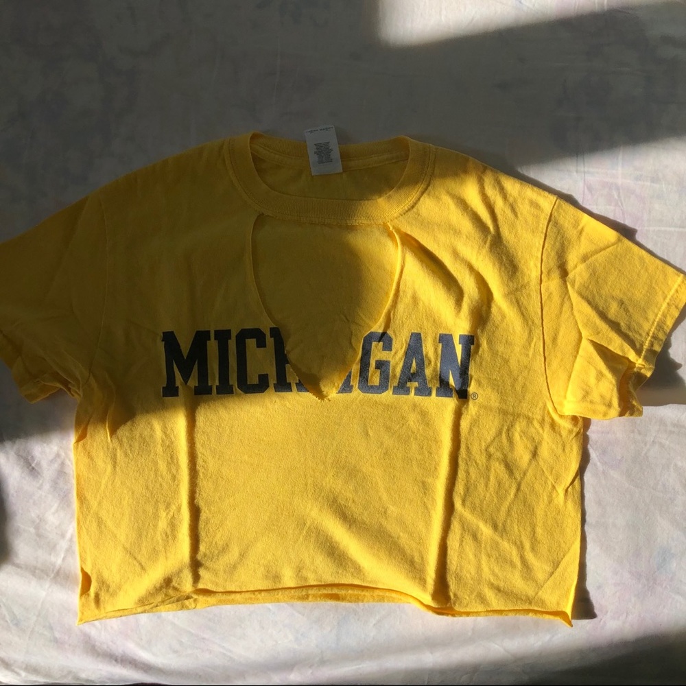 UMich crop top